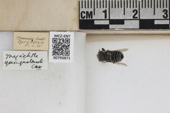 Media type: image;   Entomology 793871 Aspect: Labels